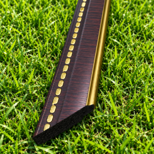 BSCL 104